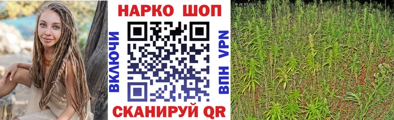 Меф Черногорск