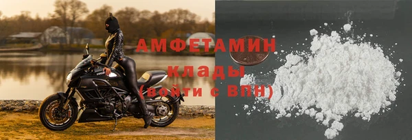 ПСИЛОЦИБИНОВЫЕ ГРИБЫ Горняк