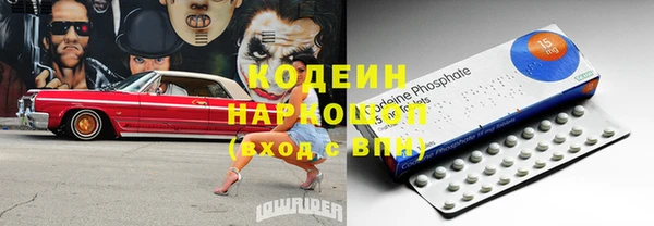 ПСИЛОЦИБИНОВЫЕ ГРИБЫ Горняк