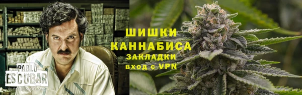 ПСИЛОЦИБИНОВЫЕ ГРИБЫ Горняк